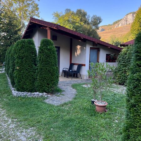 Studiouri Valisoara Exterior foto
