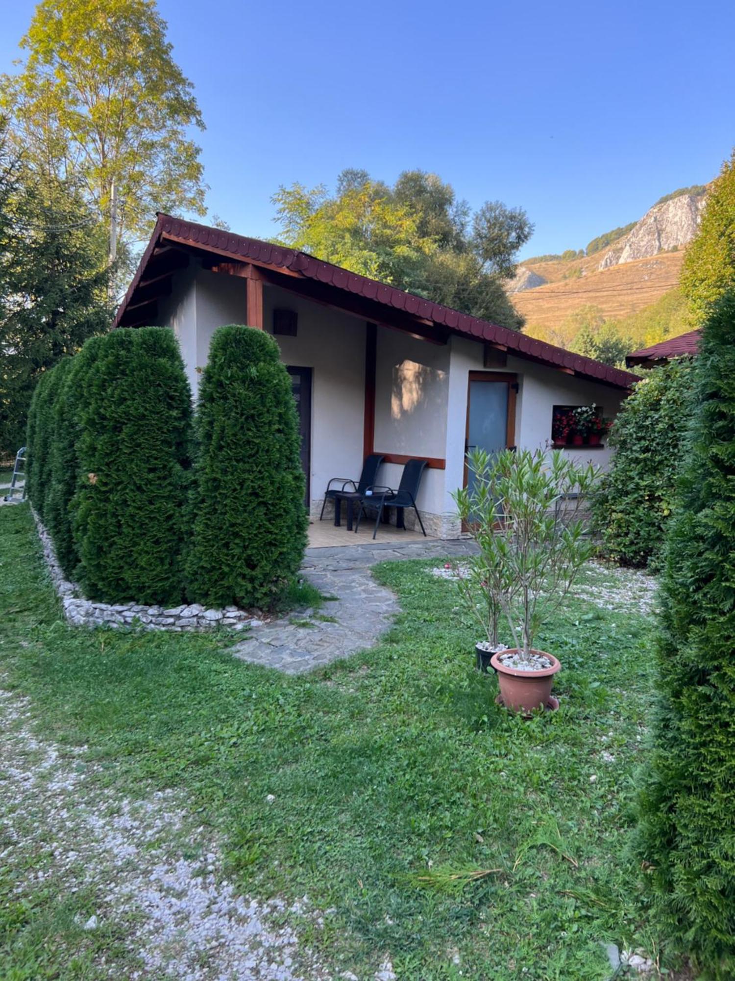 Studiouri Valisoara Exterior foto