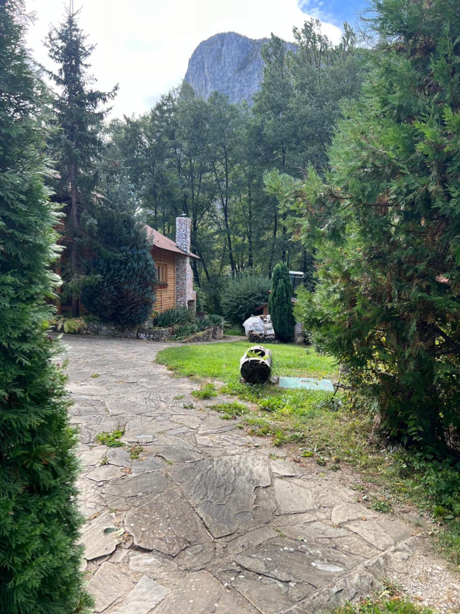 Studiouri Valisoara Exterior foto