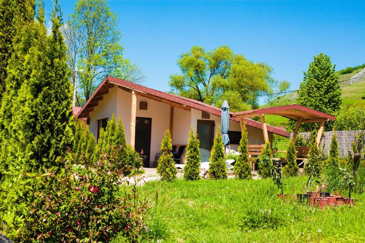 Studiouri Valisoara Exterior foto