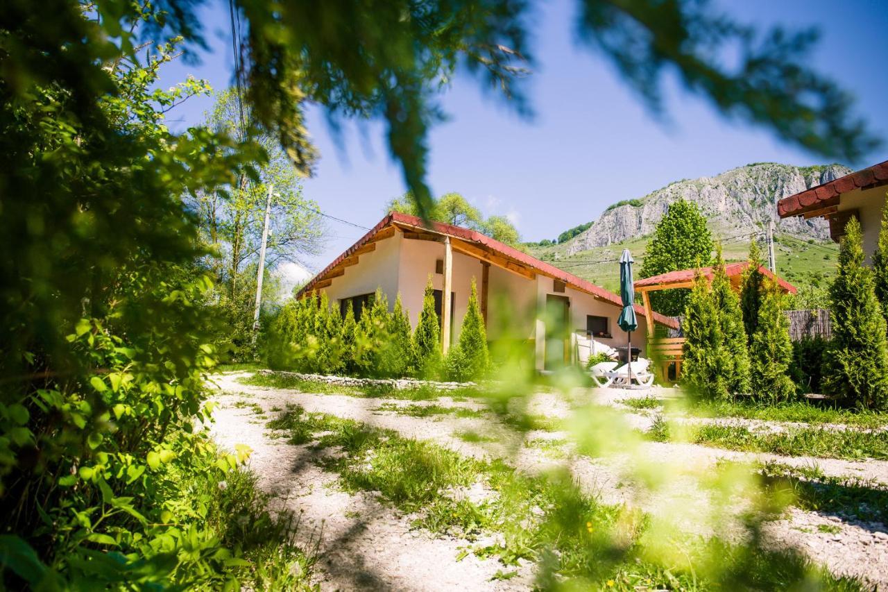 Studiouri Valisoara Exterior foto